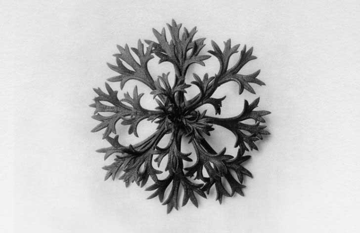 Pantheon International Participations (PIP) photography art directed by The Joneses