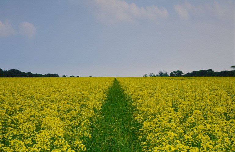 Pantheon International Participations (PIP) photography art directed by The Joneses