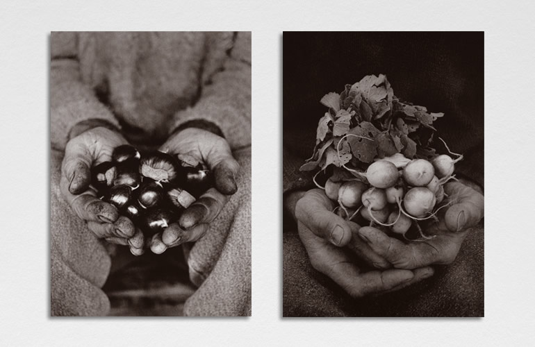 Pantheon International Participations (PIP) photography art directed by The Joneses