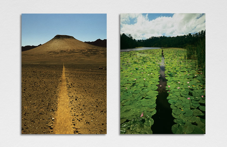 Pantheon International Participations (PIP) photography art directed by The Joneses