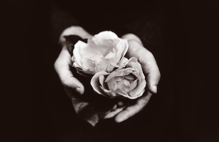 Pantheon International Participations (PIP) photography art directed by The Joneses