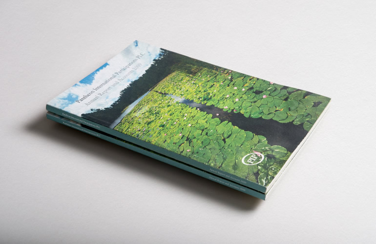 Pantheon International Participations (PIP) Annual Report and Accounts designed by The Joneses