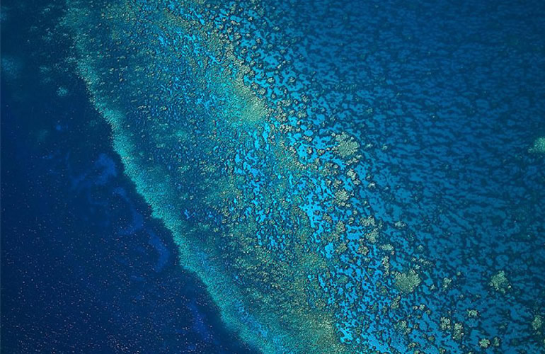 Pantheon International Participations (PIP) photography art directed by The Joneses