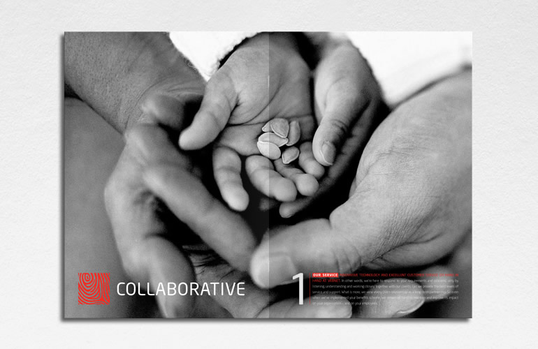 Vebnet brochures designed by The Joneses